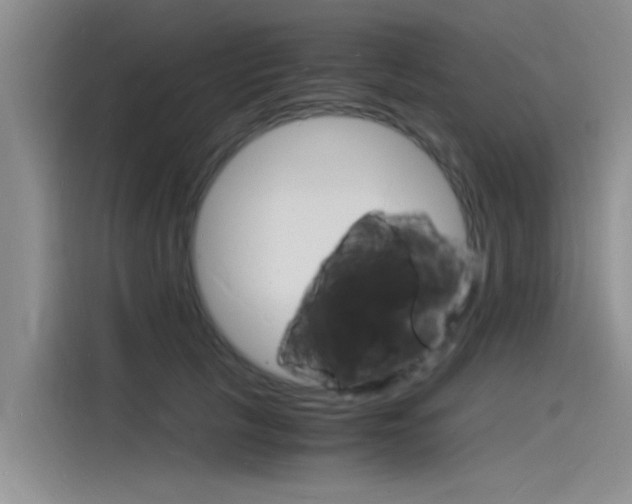X0000115840657200911131107