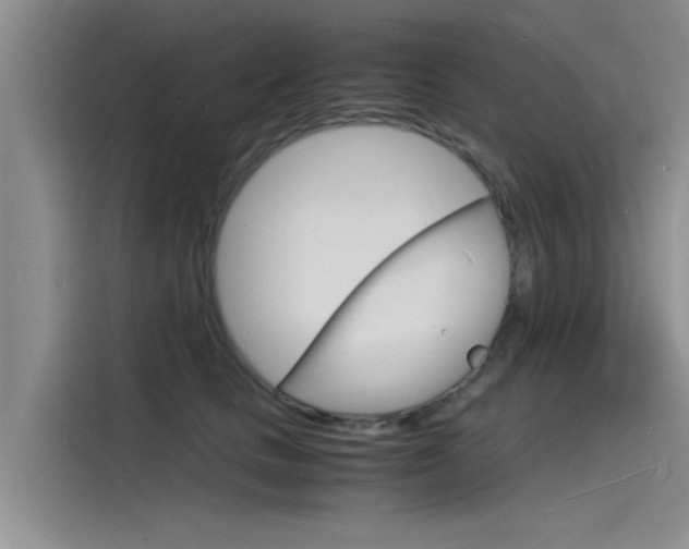 X0000115840661200911131107