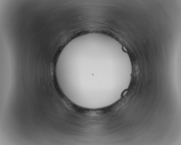 X0000115840664200911131107