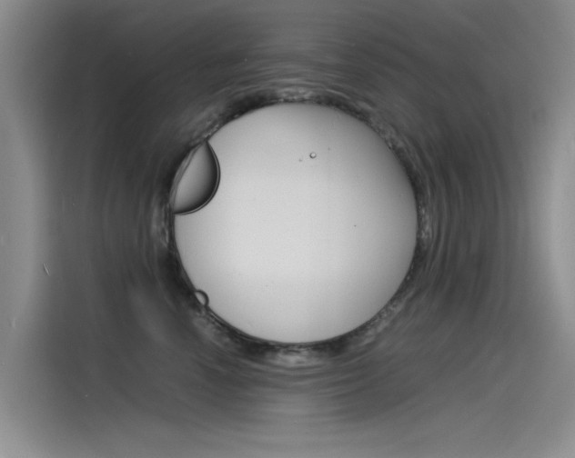 X0000115840666200911131107