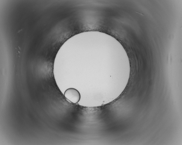 X0000115840672200911131107