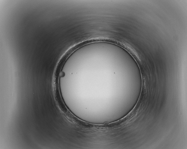 X0000115840676200911131107