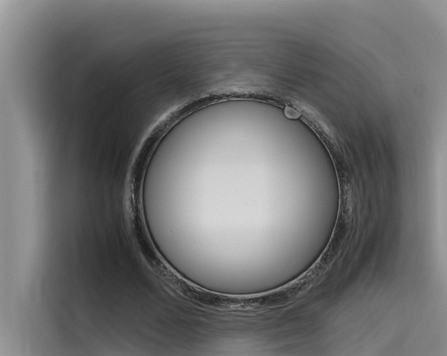 X0000115840680200911131107