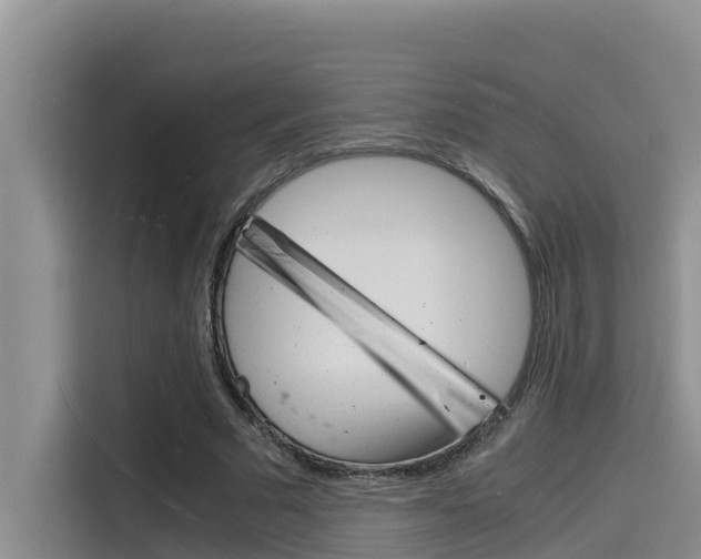 X0000115840681200911131107