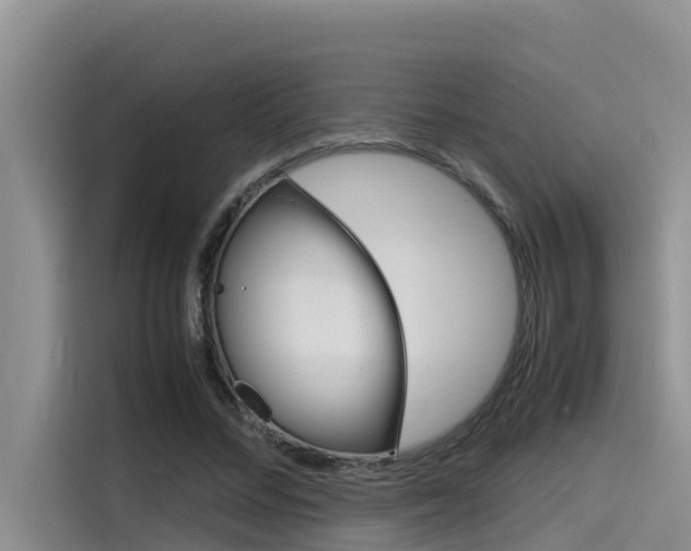 X0000115840684200911131107