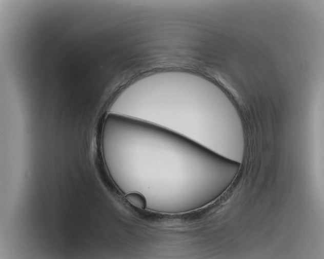 X0000115840685200911131107