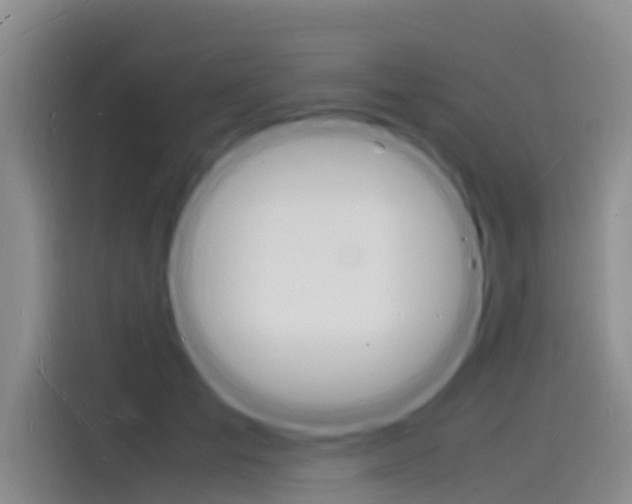 X0000115840701200911131106