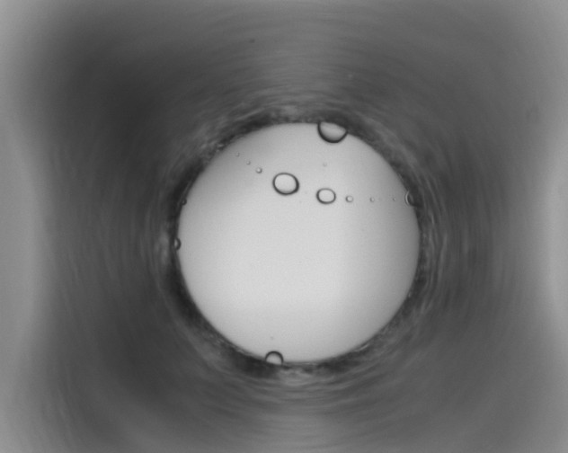 X0000115840703200911131106