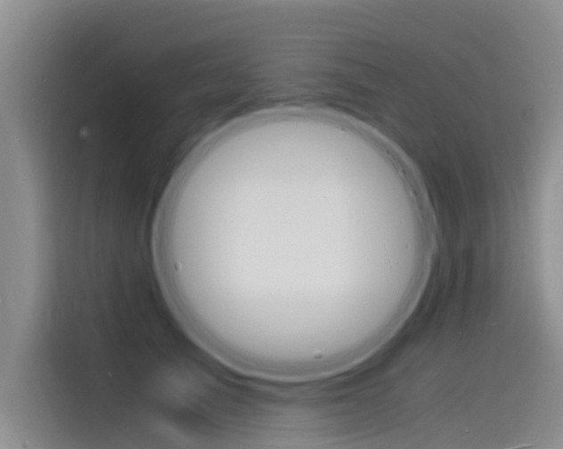 X0000115840705200911131106