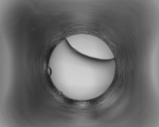 X0000115840711200911131106