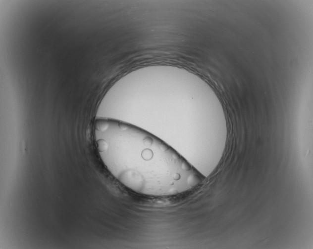 X0000115840715200911131106
