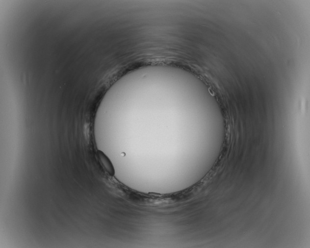 X0000115840716200911131106