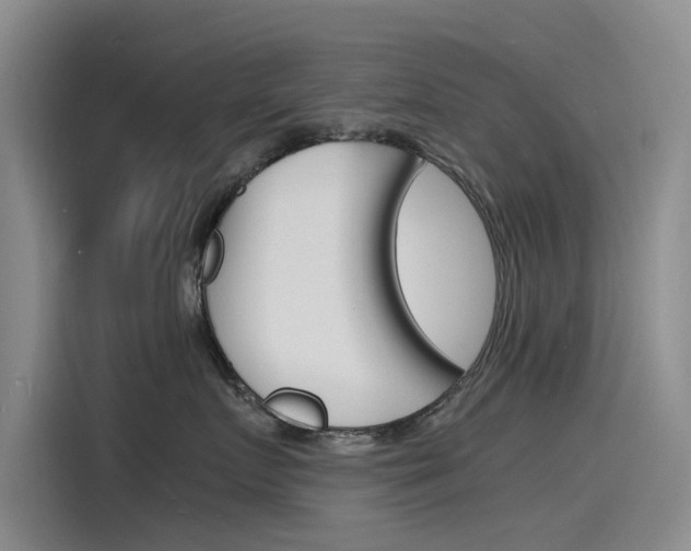 X0000115840719200911131106