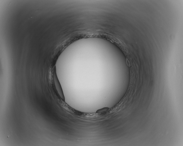 X0000115840720200911131106
