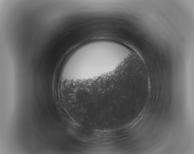 X0000115840723200911131106