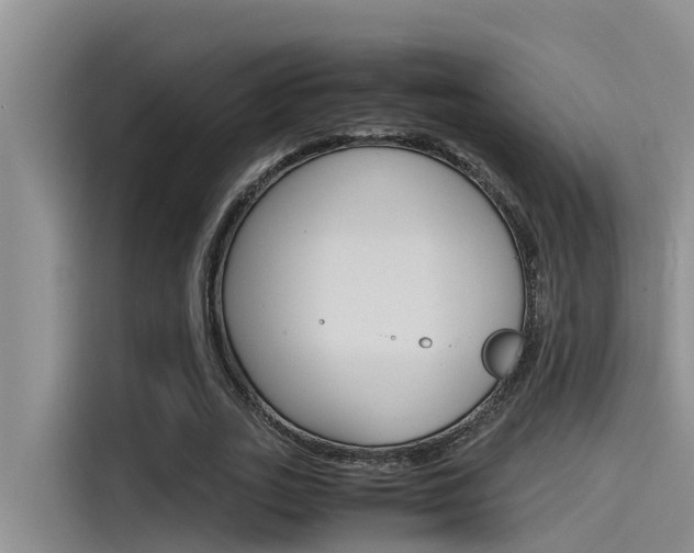 X0000115840727200911131106