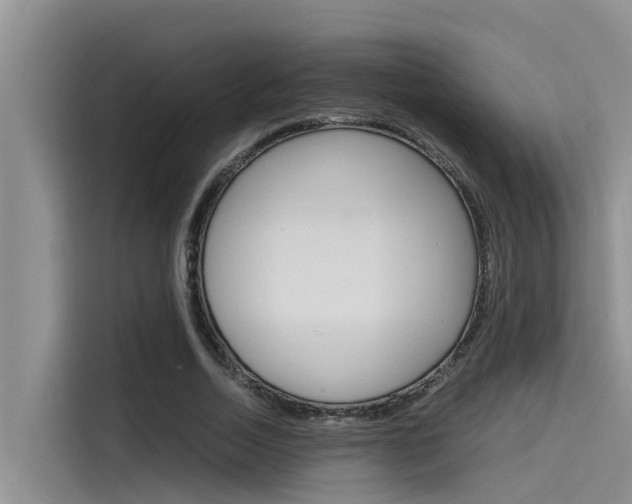 X0000115840730200911131106