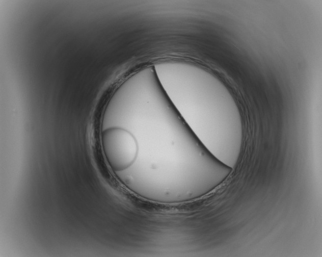 X0000115840734200911131106