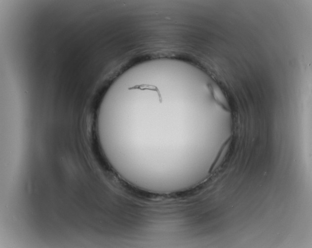 X0000115840742200911131106