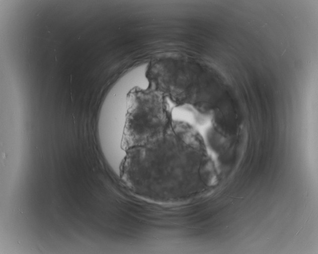 X0000115840745200911131106