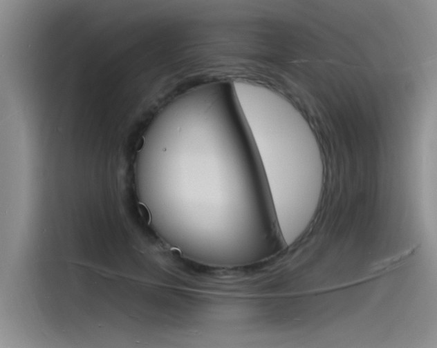 X0000115840750200911131106