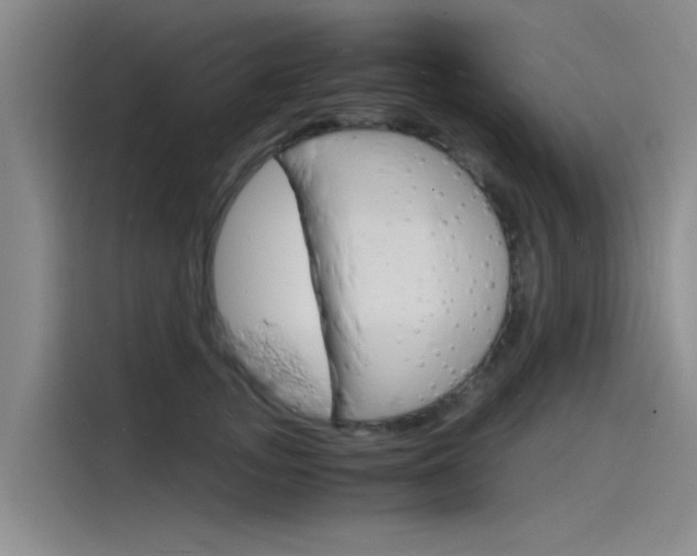 X0000115840755200911131106