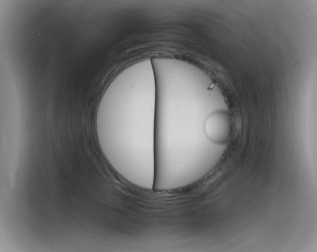X0000115840759200911131106