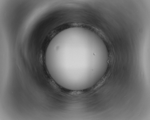 X0000115840762200911131106