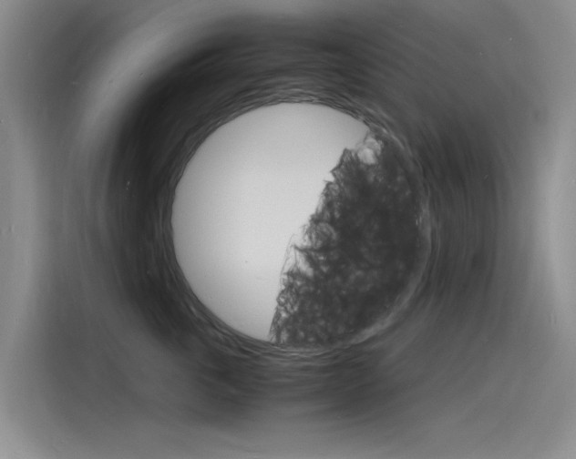 X0000115840763200911131106