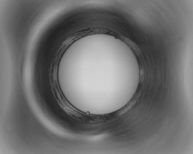 X0000115840765200911131106