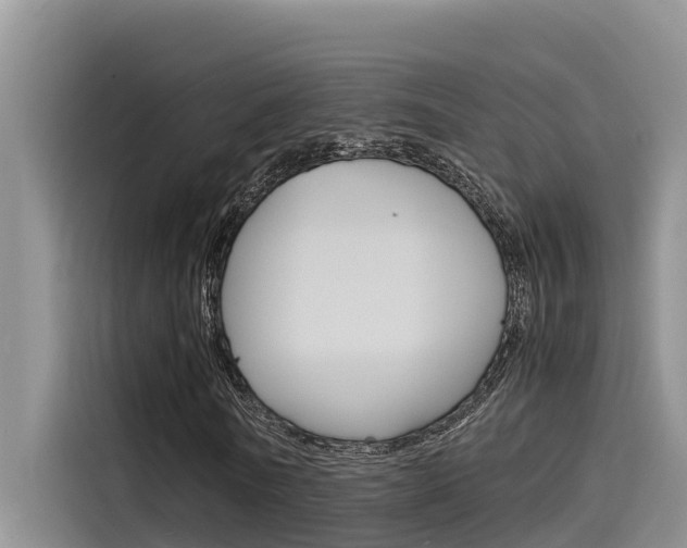 X0000115840770200911131105