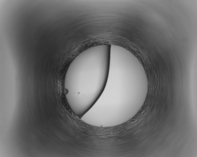 X0000115840772200911131105