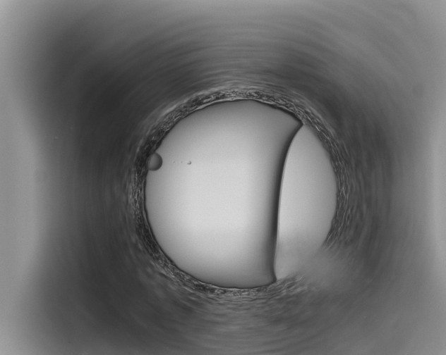 X0000115840773200911131105