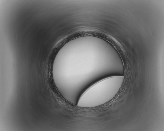 X0000115840775200911131105