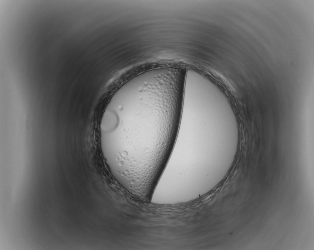 X0000115840776200911131105