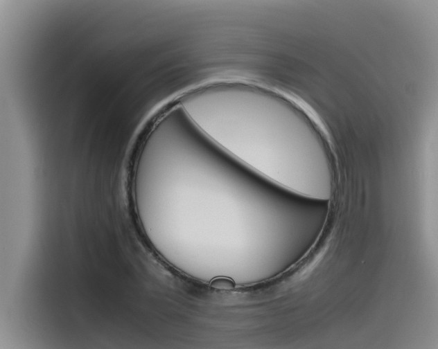 X0000115840783200911131105