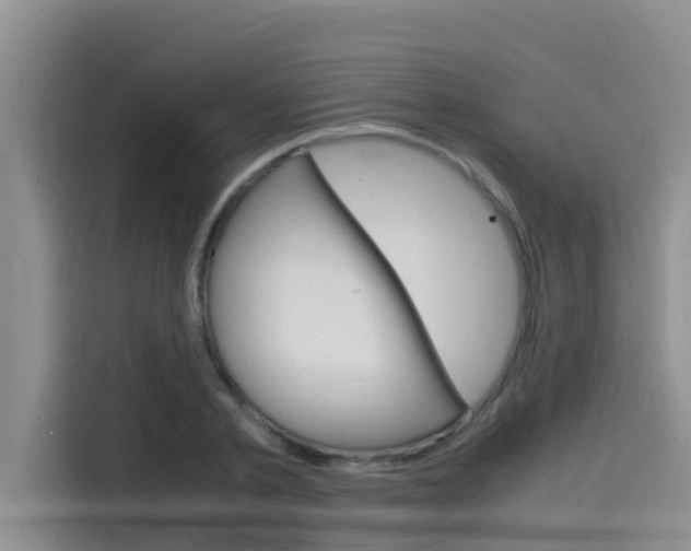 X0000115840789200911131105