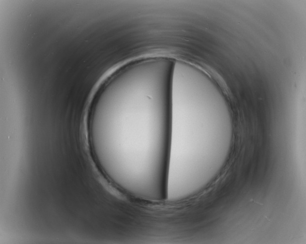X0000115840792200911131105