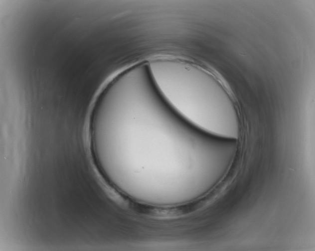 X0000115840795200911131105