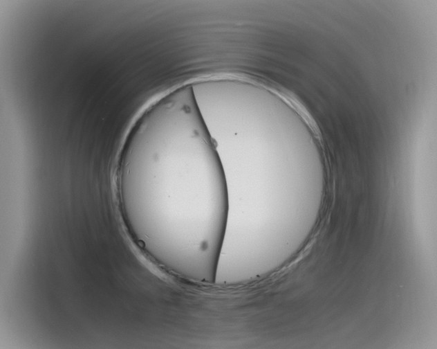 X0000115840805200911131105