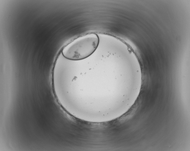 X0000115840807200911131105