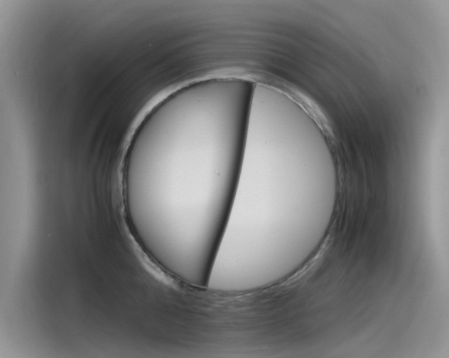 X0000115840808200911131105