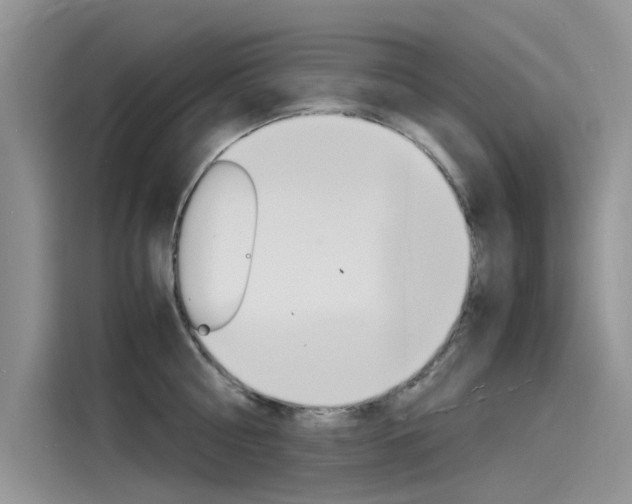 X0000115840810200911131105
