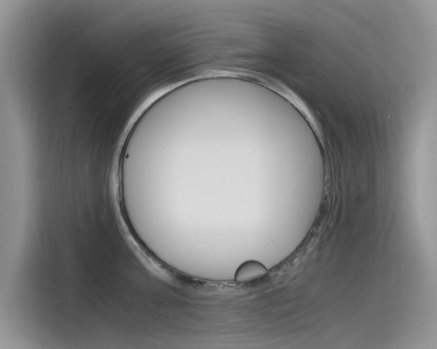 X0000115840811200911131105