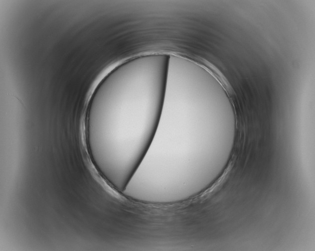 X0000115840812200911131105