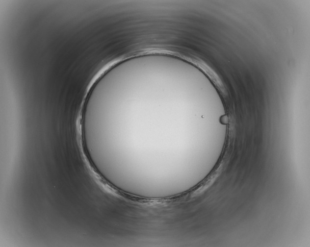 X0000115840814200911131105