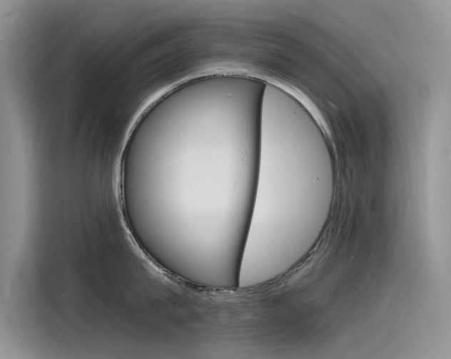 X0000115840815200911131105