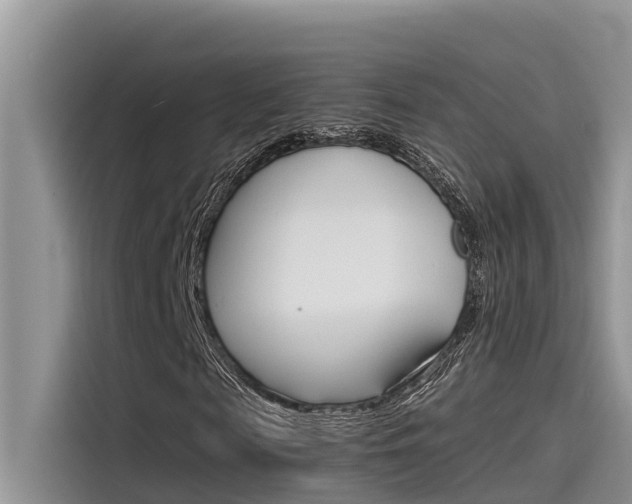 X0000115840817200911131104