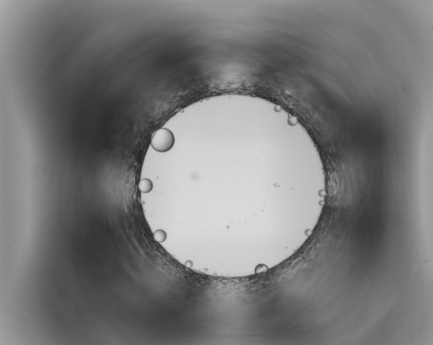 X0000115840820200911131104