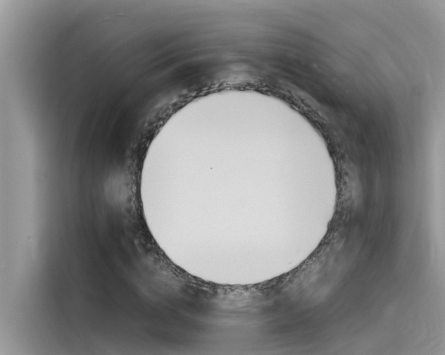 X0000115840824200911131104